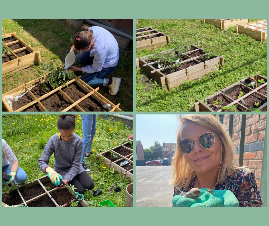 Le potager 